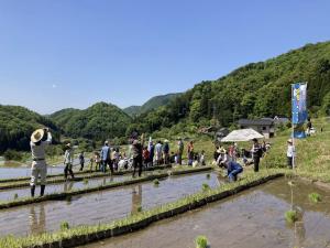 田植え