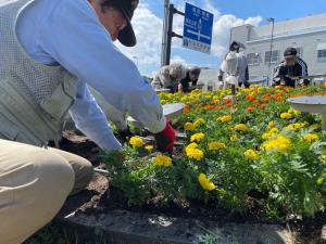 花時計の花植替えの様子