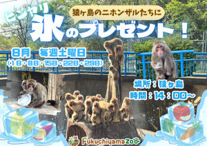 氷のプレゼントポスター