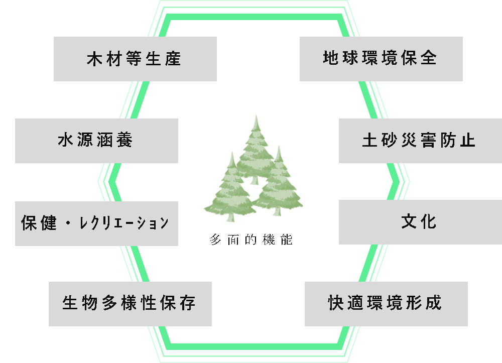 森林の有する多面的機能