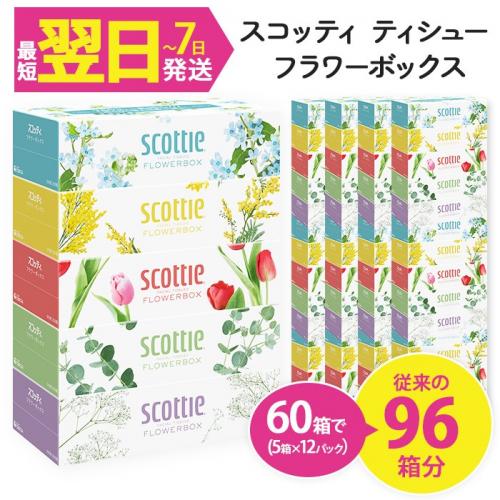 ふるさと納税ティッシュ