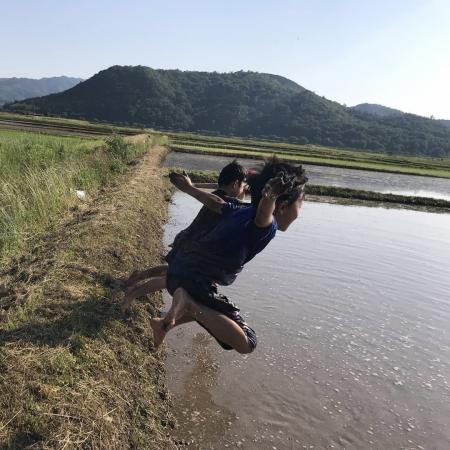 田んぼにジャンプの画像