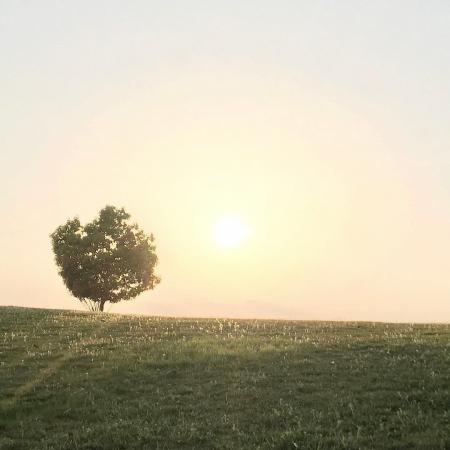 三段池公園　夕陽が照らす丘の画像