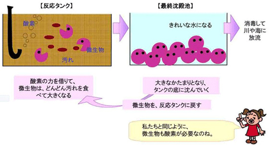 反応タンクにいる微生物の画像