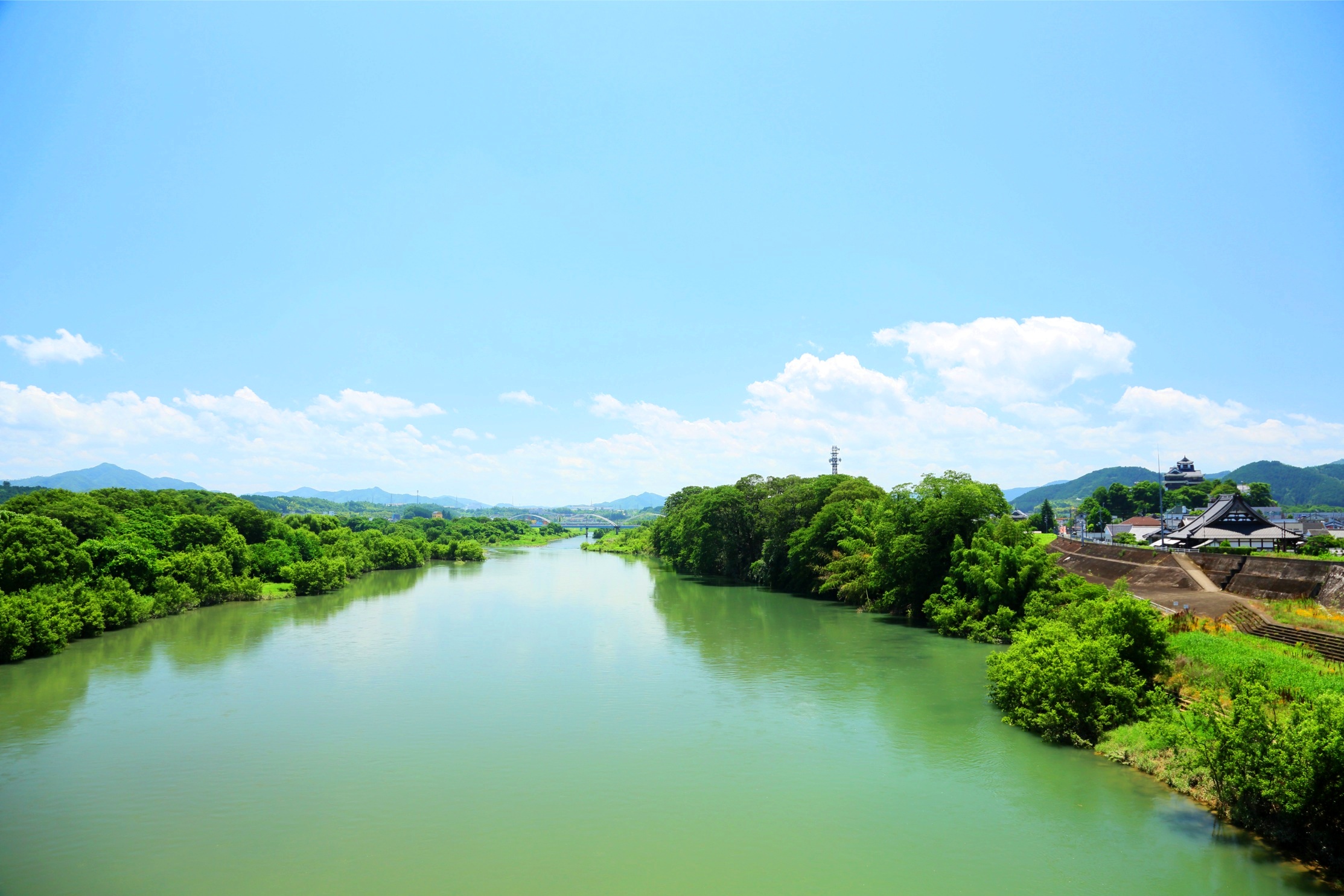 由良川と明智藪の写真