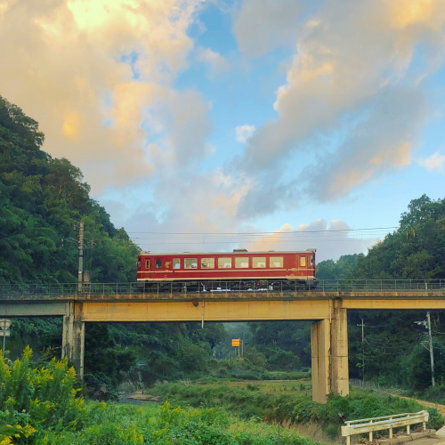 入選 「丹鉄」