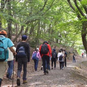 大江山一斉登山③