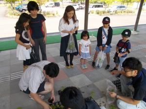 ゴーヤ苗配布会の写真です4