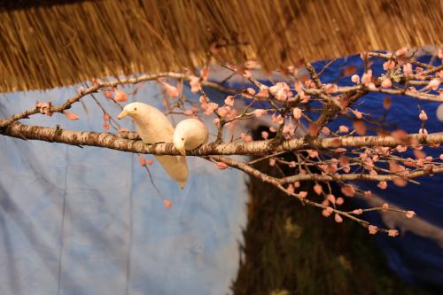 桜の木の枝にとまる小鳥