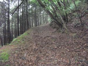 細野峠の写真②