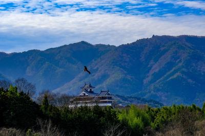 「待春望岳」網島喜代志