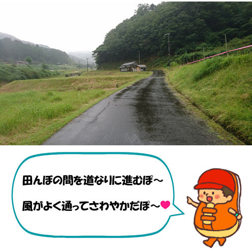 田んぼの間の道です。道なりに進むと、風がさわやかで心地よいです。