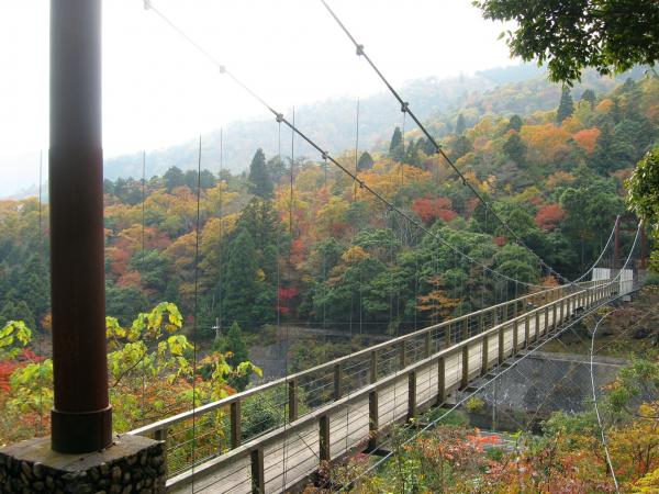 新童子橋の上から大江山の紅葉を写した写真