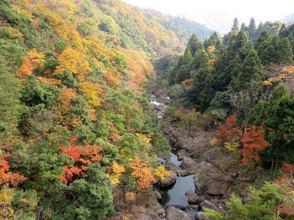 二瀬川と大江山の紅葉を写した写真