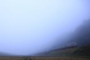 朝霧の大江を駆け抜ける丹鉄の写真