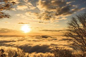 鳥ヶ岳山頂からの雲海
