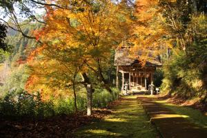 大原神社境内の紅葉