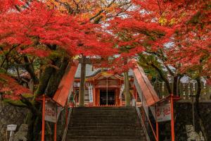 御霊神社