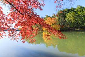 三段池公園の紅葉