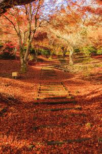 宝山公園の紅葉