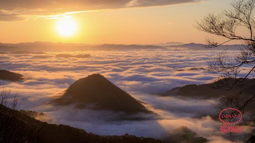 大江山の雲海